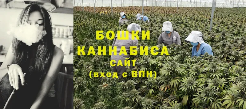 где купить наркоту  Амурск  Бошки Шишки LSD WEED 